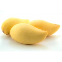 HONEY MANGO-Thailand 16-22Pcs/10kg HONEY MANGO-Thailand 16-22Pcs/10kg