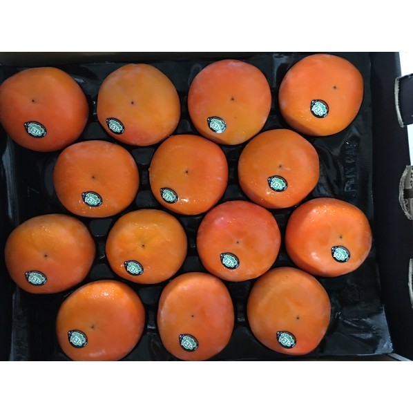 PERSIMMON -NEW ZEALAND/14PCS/4KG
