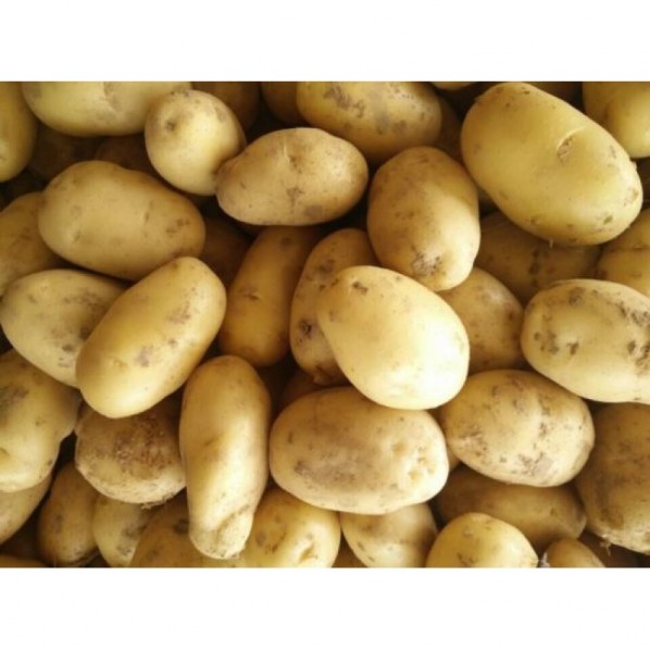 ALL VEGETABLES