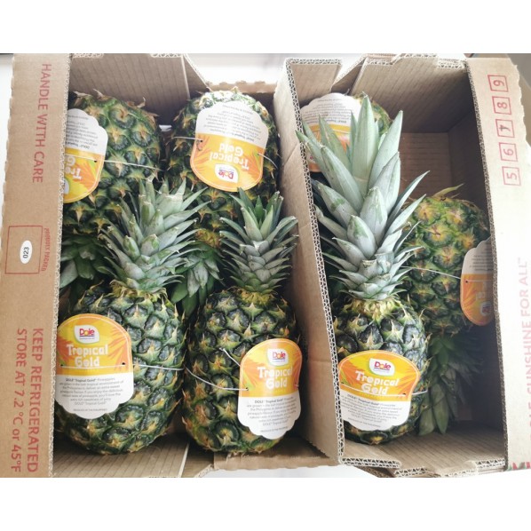 ALL FRUITS