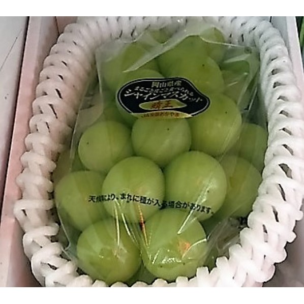 Japanese Shine Muscat Grape-700g/Japan特秀