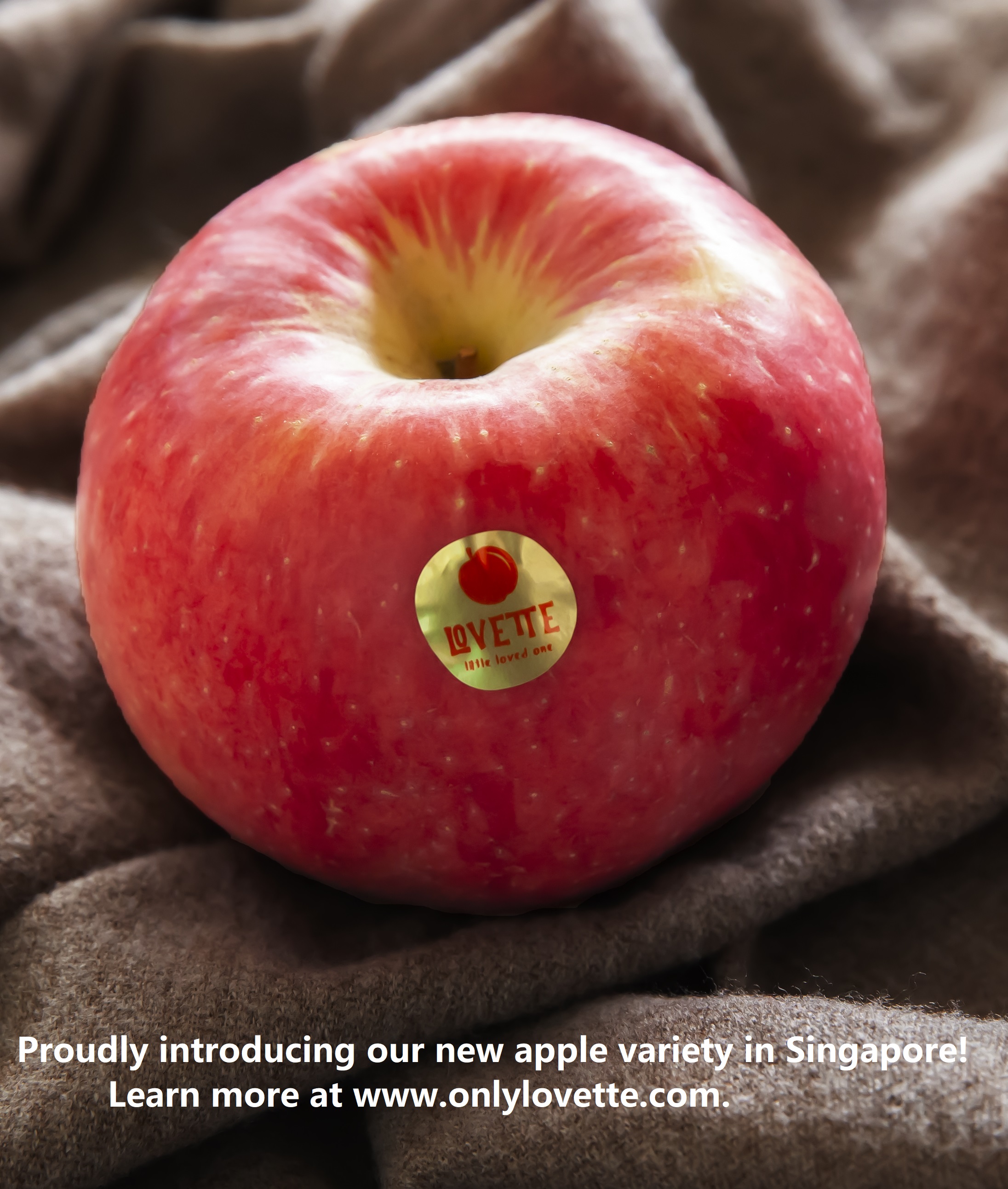 Individually Extraordinary: Unveiling the Essence of Uniqueness in Every Bite! Individually Extraordinary: Unveiling the Essence of Uniqueness in Every Bite!